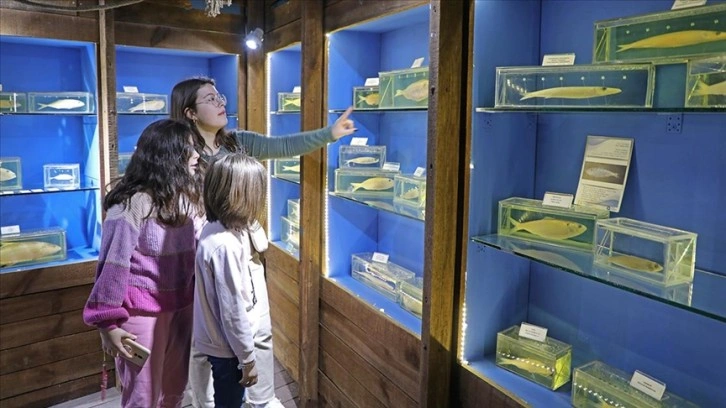 Antalya Deniz Biyoloji Müzesi'ndeki balıklar yenilenecek