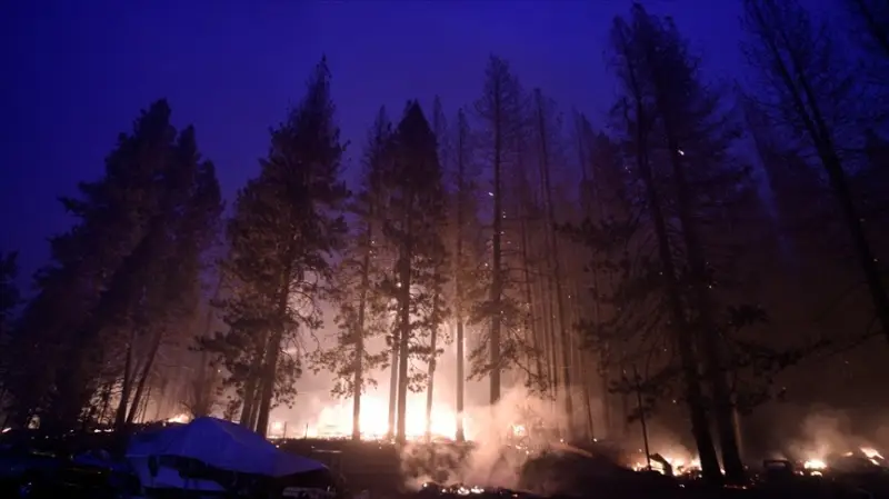 California'daki yangında yok olan ormanlık alan 210 bin hektara yaklaştı
