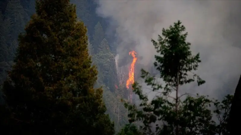 California'daki yangınlar için 'büyük afet' ilanı talep edildi