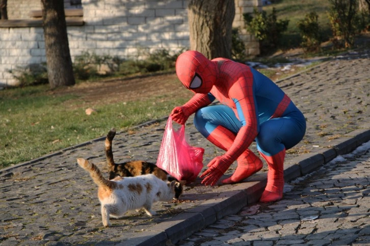 'Örümcek Adam' sokak hayvanlarının kahramanı oldu, görenler şaşkınlığını gizleyemedi