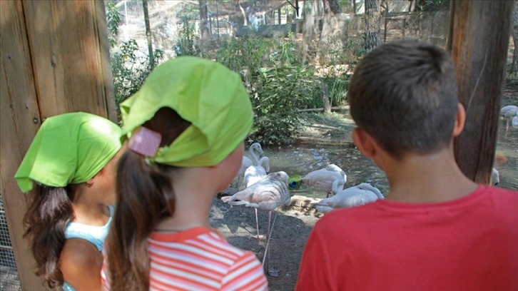Ukraynalı çocuklar, Antalya'da hayvanat bahçesini gezdi