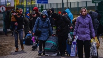 AB, Ukraynalı sığınmacıların grivnalarını dönüştürecek sistem hazırlığında