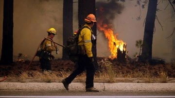 ABD'nin Kuzey Carolina eyaletindeki orman yangınında 400 hektar alan zarar gördü
