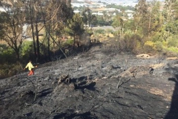 Anamur'da tarımsal alandaki yangın ormana 100 metre kala söndürüldü