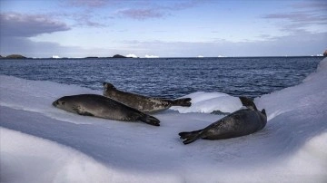 Antarktika’dan denize kavuşan her damla su iklim değişikliğine sebep oluyor