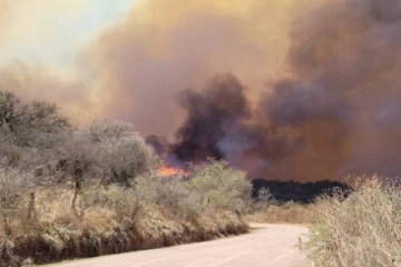 Arjantin’de çıkan orman yangınlarından 2 kişi öldü