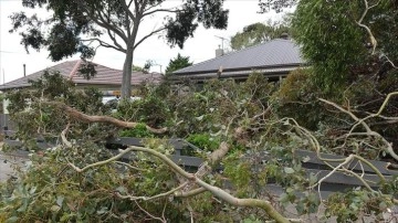 Avustralya’da alevlenmiş rüzgar dolayısıyla binlerce ev elektriksiz kaldı