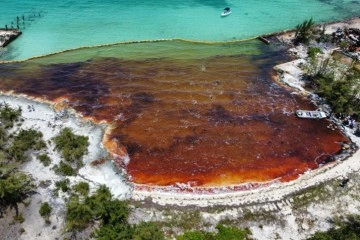Bahamalar’da denize 113 metreküpten fazla petrol sızıntısı yaşandı