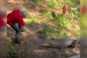 Bahçesine giren timsahı tavayla kovaladı