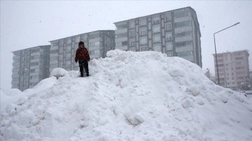 Bitlis'te kent merkezi ve 4 ilçede okullara 1 günlük kar tatili
