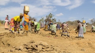 BM: İklim değişikliği Afrika'nın tarım ürünlerine zarar veriyor