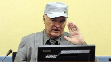 BM'den Sırbistan'da harp suçlusu Mladic'in cidar resminin korunmasına tepki