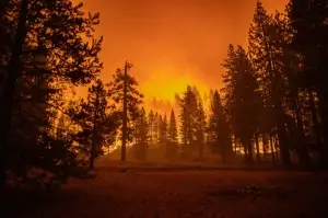 California'daki Caldor yangını 34 binden fazla yapıyı tehdit ediyor