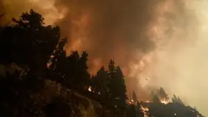 California'daki 'Caldor' yangını 756 kilometrekare alanı tahrip etti