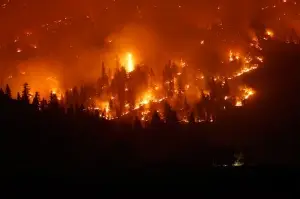 California'nın en büyük ikinci yangını 705 bin dönümlük alanı küle çevirdi