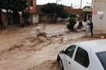 Cezayir'i sel vurdu: Onlarca araç sürüklendi, evler sular altında kaldı