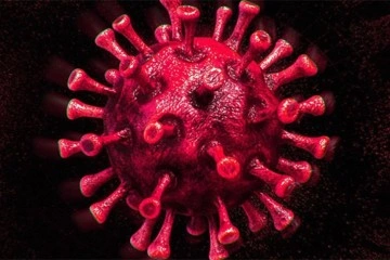Çin'de korona virüs salgınında üst üste ikinci gün vaka rekoru