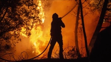 Çin'in Çonçing şehri aşırı sıcakların yol açtığı orman yangınlarıyla mücadele ediyor