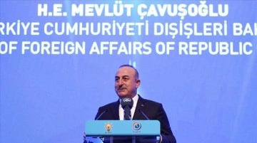 Dışişleri Bakanı Çavuşoğlu: Küresel sorunlar kolektif eylem gerektiriyor