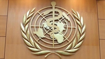 DSÖ: Rahim ağzı kanseri ölümlerinin 10'da 9'u az ve mutedil gelirli ülkelerde
