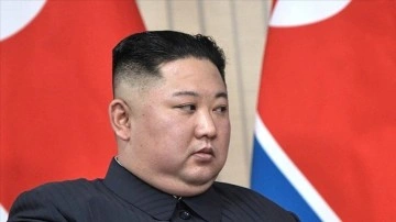 Eski fevk dozaj ajan, Kuzey Kore liderinin "suikast timleri kurduğunu" tez etti