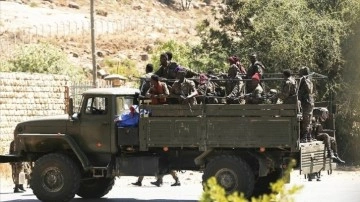 Etiyopya'dan emektar askerlere orduya kan dolaşımı çağrısı
