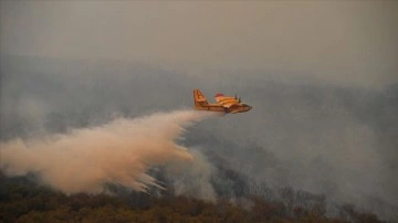 Fas'ın kuzeyinde devam eden orman yangınlarında 55 hektar alan zarar gördü