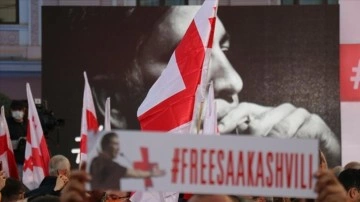 Gürcistan'da muhalefetten 9 saylav vakfedilmiş Saakaşvili'ye dayanak noktası düşüncesince kıtlık grevinde