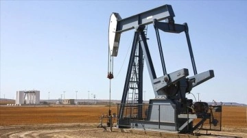 Hindistan, Rusya’dan 3,5 milyon varil ham petrol almaya hazırlanıyor
