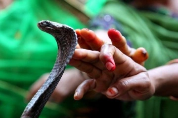Hindistan’da eşini piton yılanıyla öldüren adama iki kez müebbet
