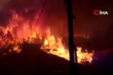 İspanya’da orman yangınları artıyor: Yüzlerce kişi tahliye edildi