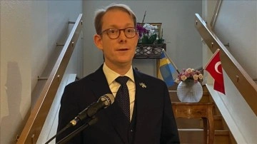 İsveç Dışişleri Bakanı Billström: Teröre karşı Türkiye'nin kendini savunma hakkı var