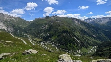 İsviçre Alpleri'nin kuzeyinde "tüm zamanların rekor ocak ayı sıcaklığı" kayda geçti