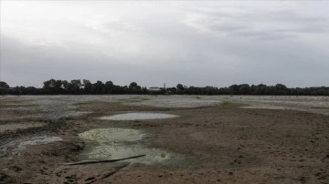 İtalya'da milyonlarca kişi kuraklık nedeniyle sularının kesilmesi riskiyle karşı karşıya