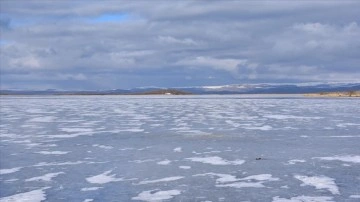 Kars, Ağrı ile Ardahan'da dere ve göletler buz tuttu