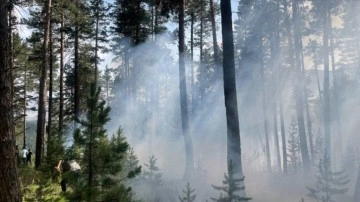 Kars'ta ormanlık alanda çıkan örtü yangını söndürüldü
