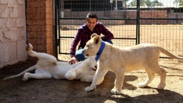 Libya'da yabani hayvan yetiştiren aile halkın 'hayvanat bahçesi' özlemini gideriyor