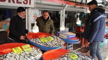 Marmara Denizi'nde umduğunu bulamayan balıkçılar rotayı Ege'ye çevirdi