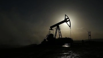 Nijerya, Türkiye'yi ülkesindeki petrol ve doğal gaza yatırıma çağırdı