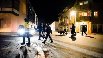 Norveç'te oklu saldırıda 5 insan yaşamını kaybetti