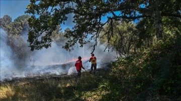 Portekiz'de 2'si büyük 14 yerde orman yangınları devam ediyor