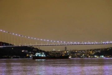 Rusya’dan gelen tonlarca ayçiçeği yağı yüklü gemi İstanbul Boğazı’na ulaştı