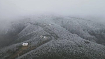 Sakarya'nın yüksek kesimlerine kar yağdı