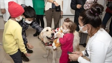 Terapi köpeği Molly'den kanser tedavisi gören çocuklara moral ziyareti