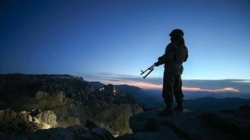 Terör örgütünden kaçan 2 PKK'lı ikna yoluyla teslim oldu