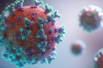 Tonga'da ilk korona virüs vakası tespit edildi