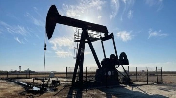 TPAO, 15 saha için petrol arama ruhsatı aldı