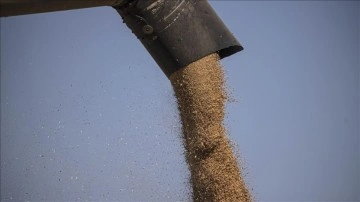 Ukrayna, Batı Afrika ülkelerinde tahıl merkezleri kuracak