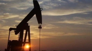 Uluslararası Enerji Ajansı: Dünyanın yakın gelecekte hala petrole ihtiyacı olacak