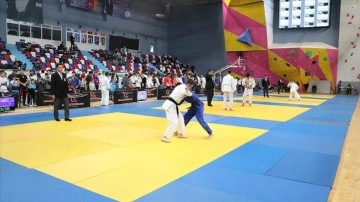 Uluslararası Judo Federasyonu, Vladimir Putin'in onursal başkanlığını askıya aldı